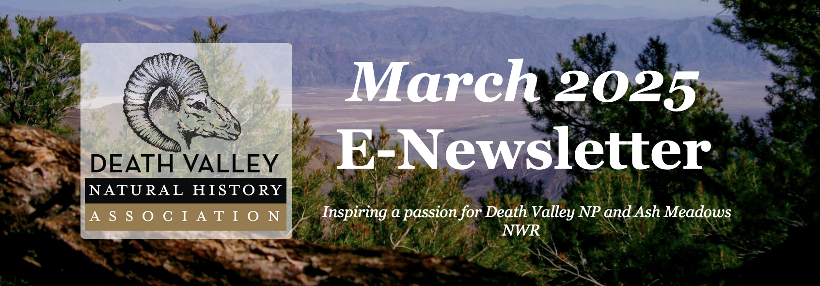 death valley natural history association