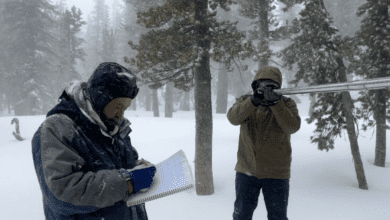 snow survey ladwp