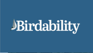bird-a-thon