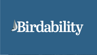 bird-a-thon