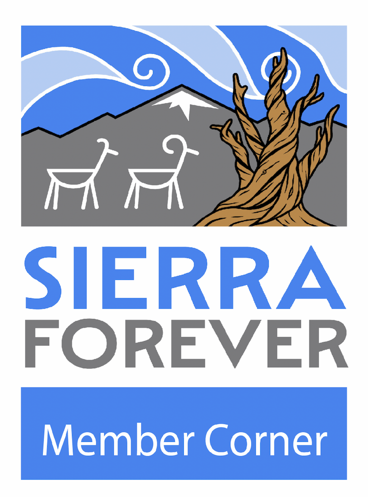 sierra forever