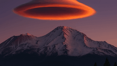 mount shasta lemuria