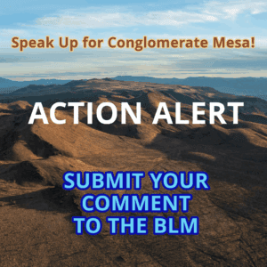 conglomerate mesa