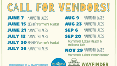 wild together market