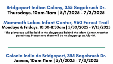 first 5 mono county peapod playgroup