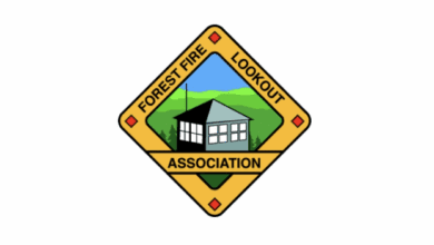 forest fire lookout association bald mountain