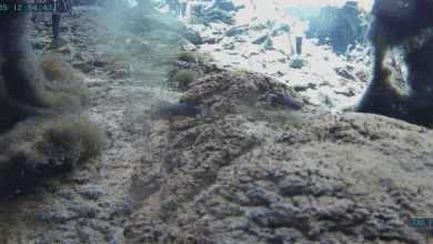 devils hole earthquake