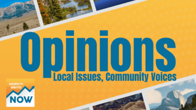 opinion