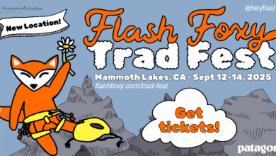 flash foxy trad fest