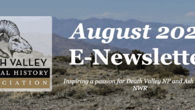 Death Valley Natural History Association August E-Newsletter 28 death valley