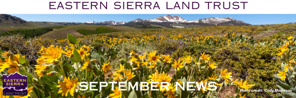 Did You Know? Healthy Soils = Thriving Eastern Sierra 1 eastern sierra