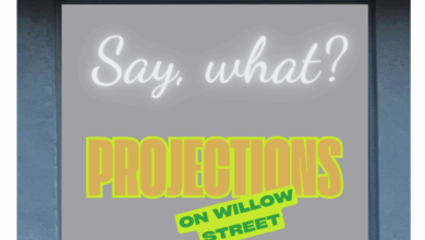 say what projections inyo council for the arts gallery