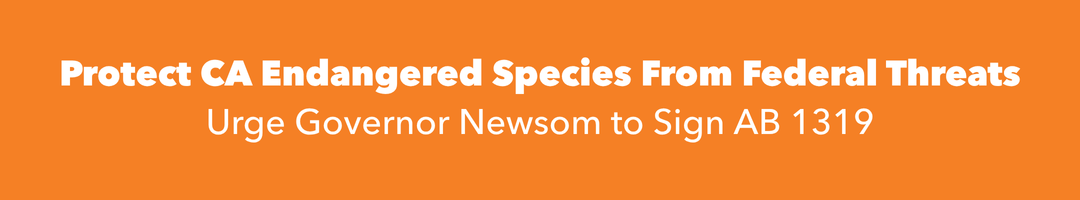 Protect CA Endangered Species from Federal Threats 3 ab 1319 endangered species friends of the inyo