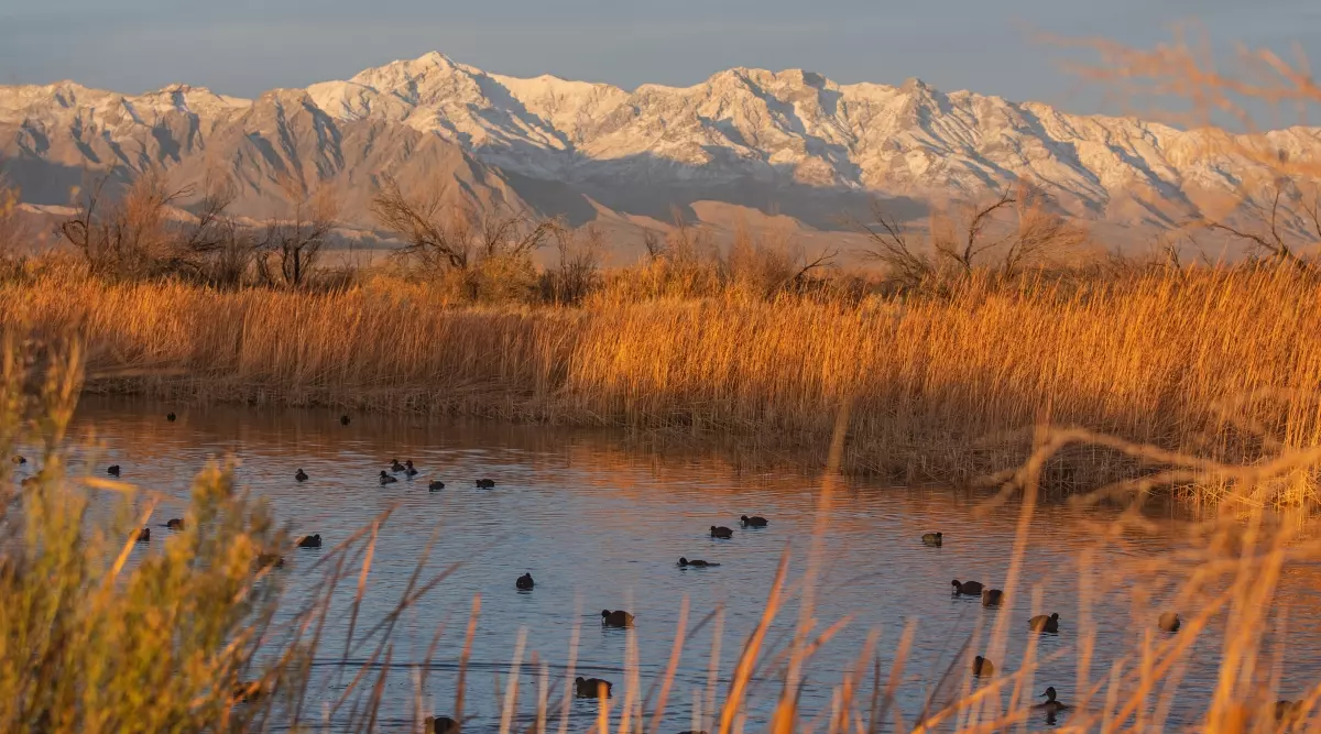 Death Valley Natural History Association Updates Regarding Shutdown 3 death valley