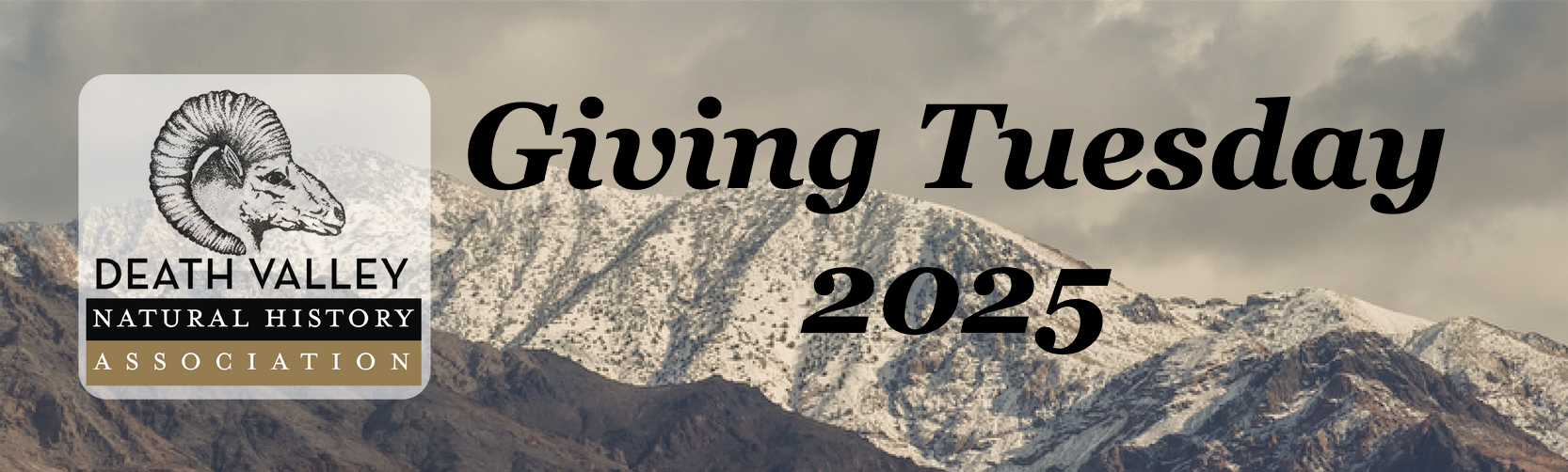 giving tuesday
