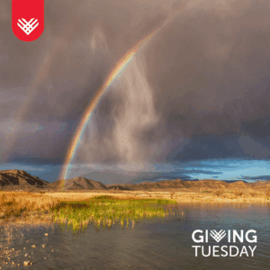 Giving Tuesday 2025: A Campaign to Protect What Matters Most 4 giving tuesday