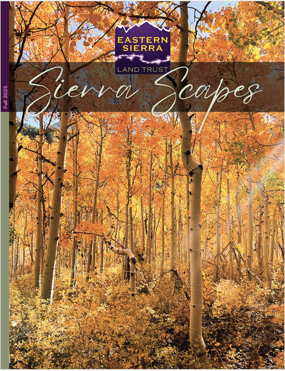 Eastern Sierra Land Trust November News 5 eastern sierra