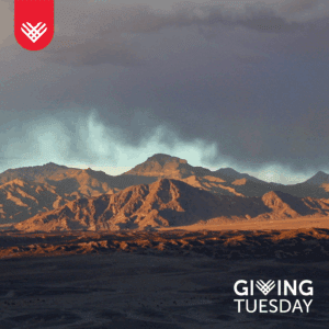 Giving Tuesday 2025: A Campaign to Protect What Matters Most 2 giving tuesday