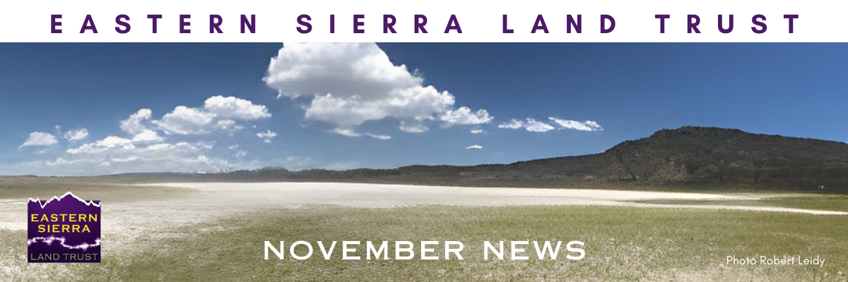 Eastern Sierra Land Trust November News 1 eastern sierra land trust