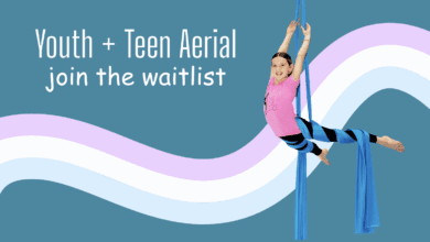 wakeful ascent aerial arts
