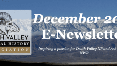 DVNHA December E-Newsletter 10 death valley