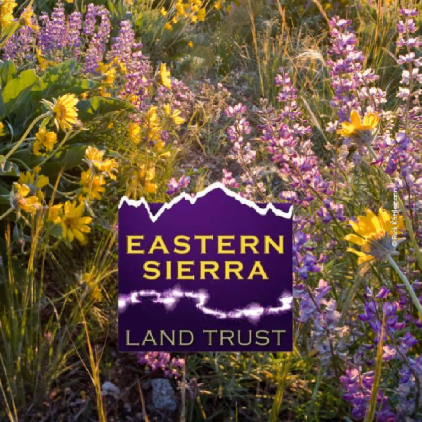 conservation eastern sierra land trust