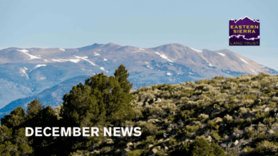 eastern sierra land trust