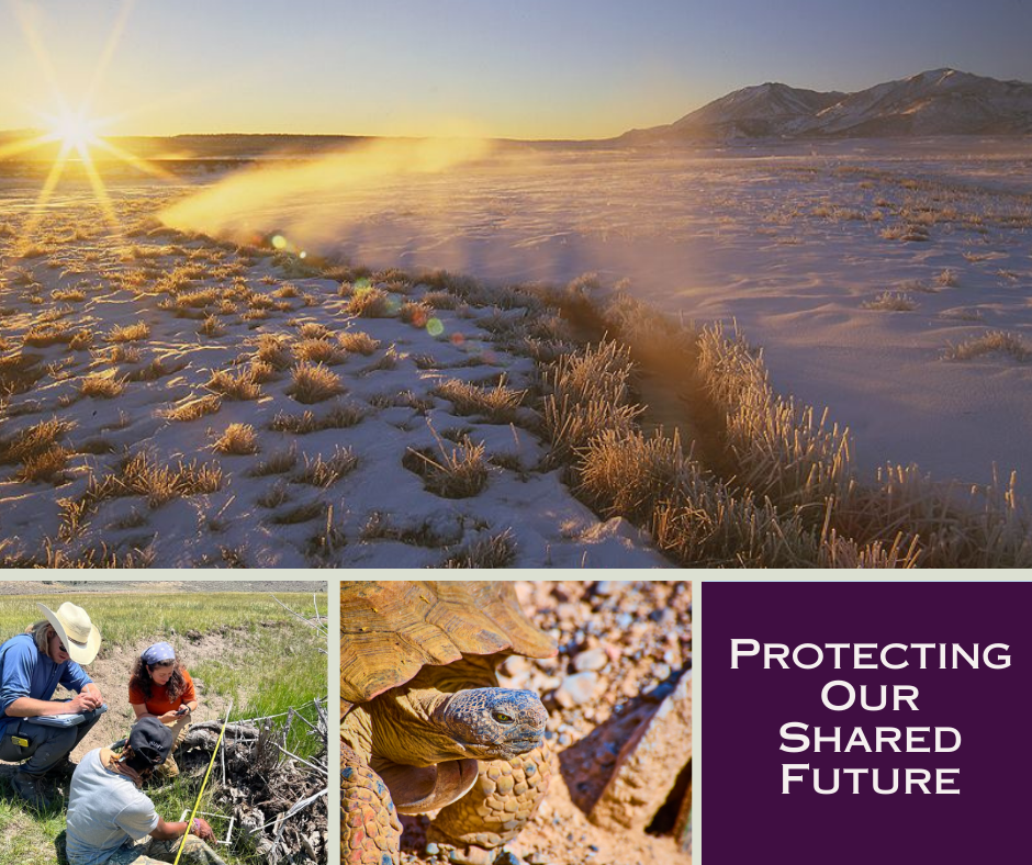 conservation eastern sierra land trust