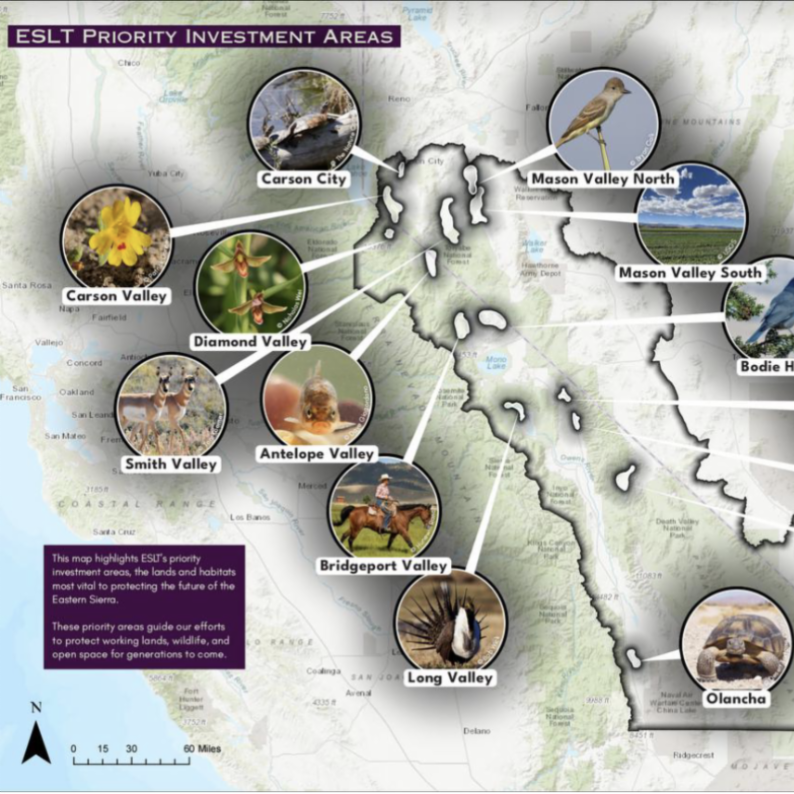 conservation eastern sierra land trust