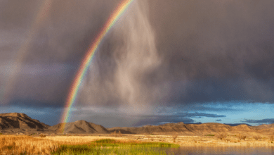 Support Death Valley Natural History Association Before Midnight 5 death valley