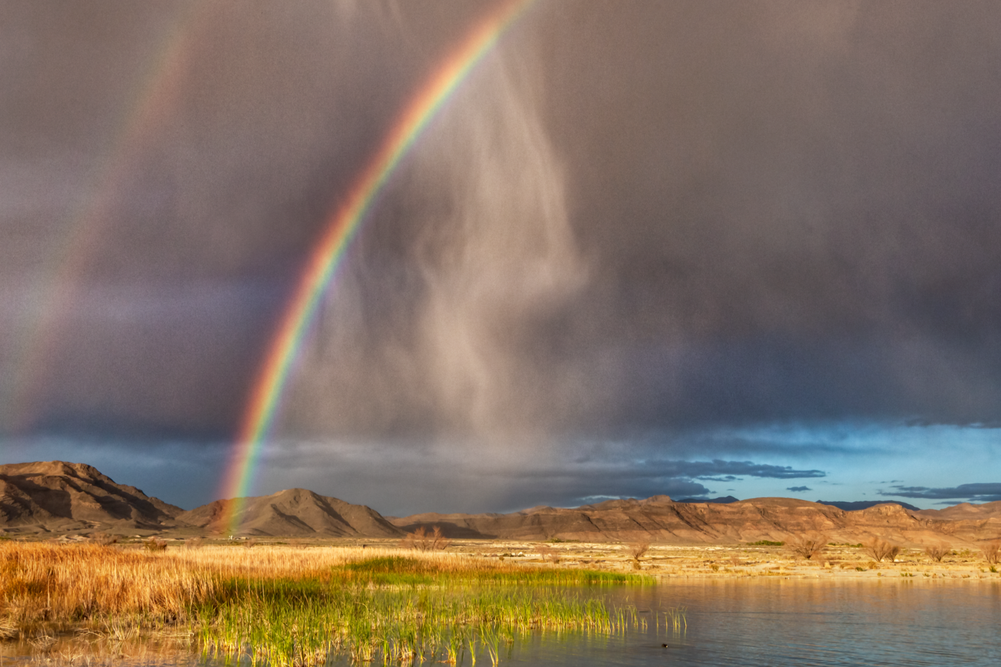 Support Death Valley Natural History Association Before Midnight 2 unnamed 8 1