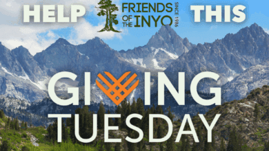 eastern sierra friends of the inyo