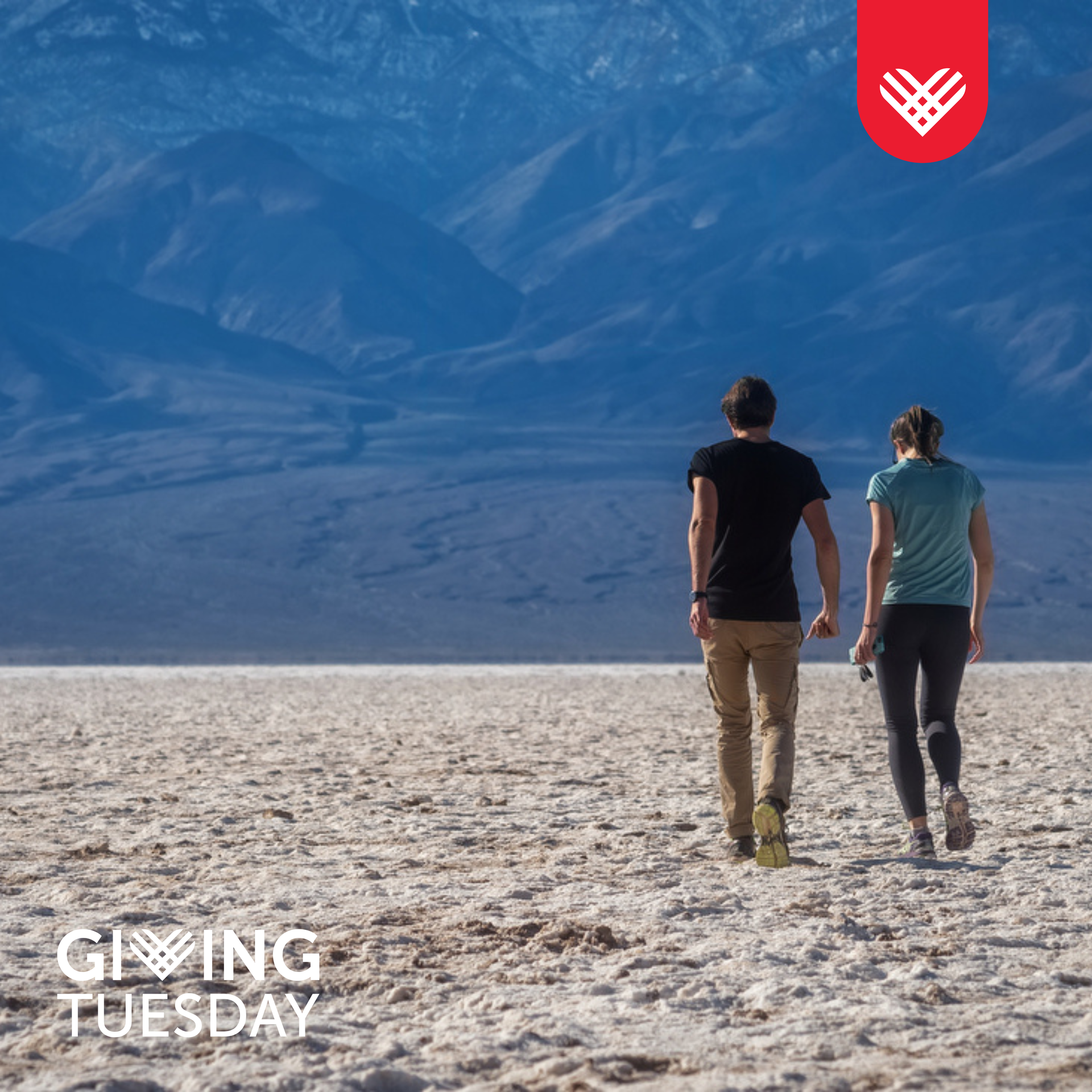 giving tuesday