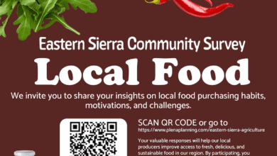 Eastern Sierra Agriculture Activation Plan