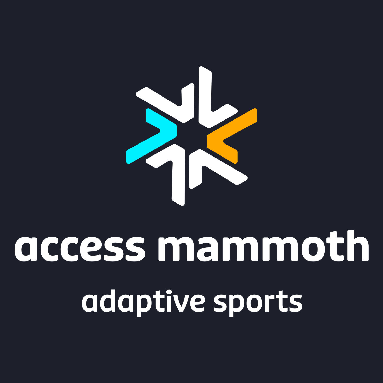 Access Mammoth Invites Community to Public Inclusion Workshop with Disability Advocate Kat Landau 1 access mammoth