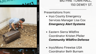 big pine