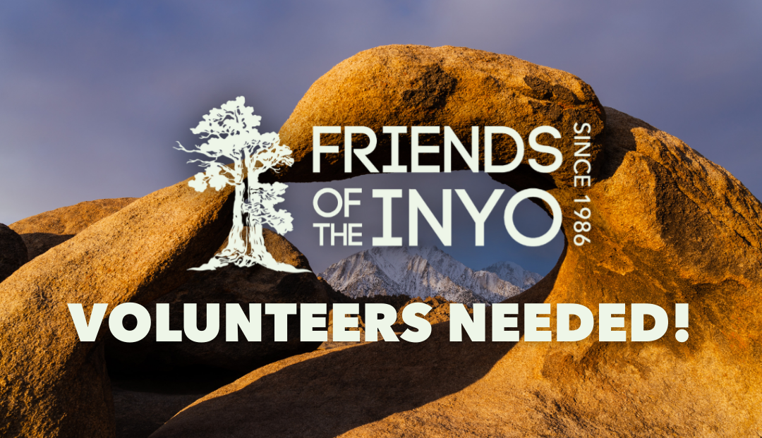 friends of the inyo