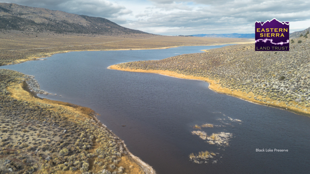 eastern sierra