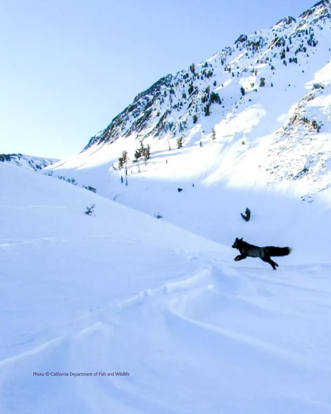eastern sierra land trust