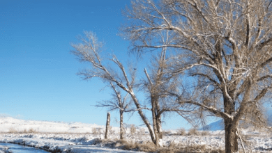 Time to Get Outside in Bishop 17 bishop