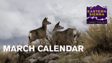 eastern sierra land trust