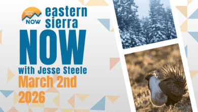 ESN News: March 2nd, 2026