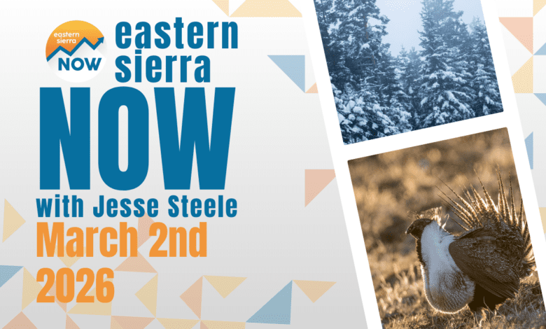 ESN News: March 2nd, 2026