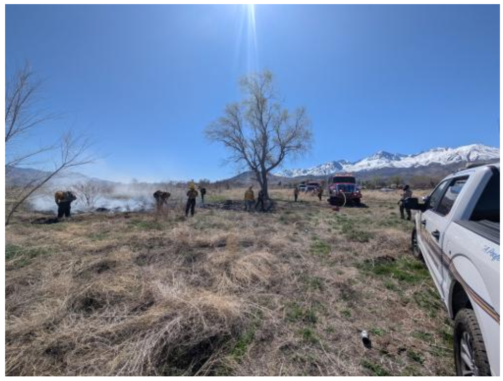 Arrest Made in Big Pine Vegetation Fire 3 big pine fire