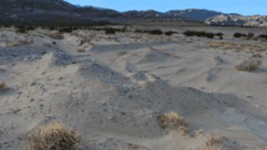 death valley