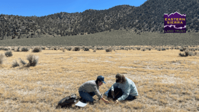 grasslands wildlife eslt