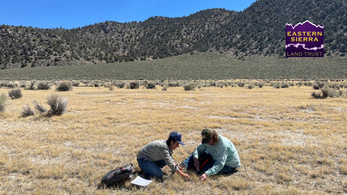 How do grasslands benefit people and wildlife? 1 grasslands wildlife eslt