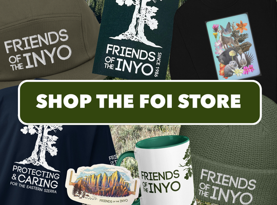 SnowSchool Volunteers Needed! 3 friends of the inyo