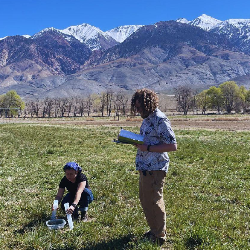 How do grasslands benefit people and wildlife? 3 grasslands wildlife eslt