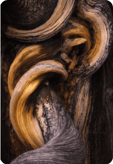 Join Mono Arts Council for Two Exhibits on One Special Night 14 mono arts council